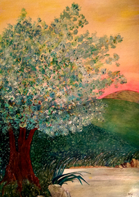 Robin Williamson Paintings